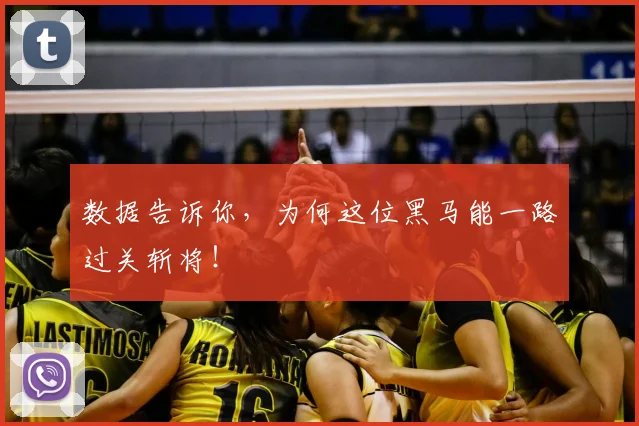 数据告诉你，为何这位黑马能一路过关斩将！
